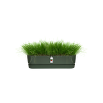 greenville trough long 70cm blad groen